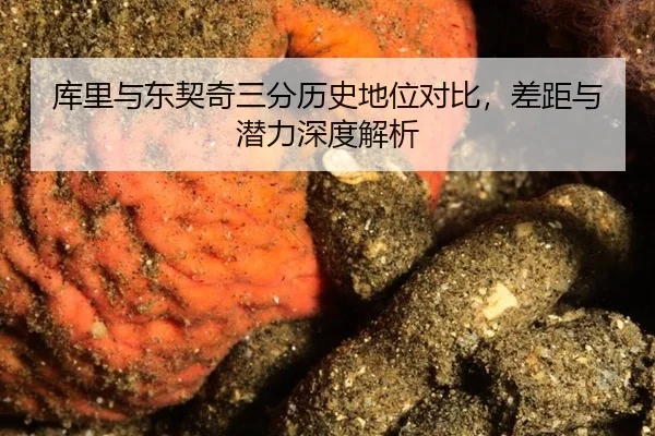 库里与东契奇三分历史地位对比，差距与潜力深度解析